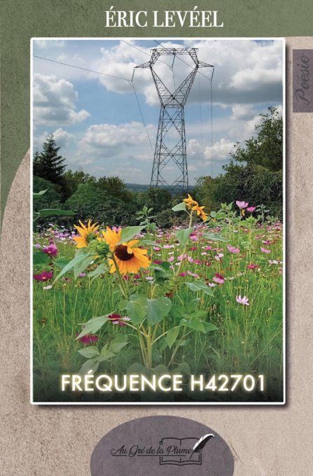 FREQUENCE H42701